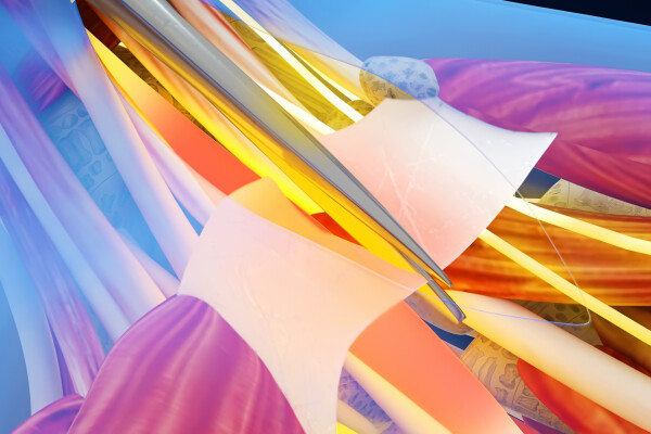 AdobeStock 447842821